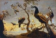 Frans Snyders Group of Birds Perched on Branches oil painting reproduction